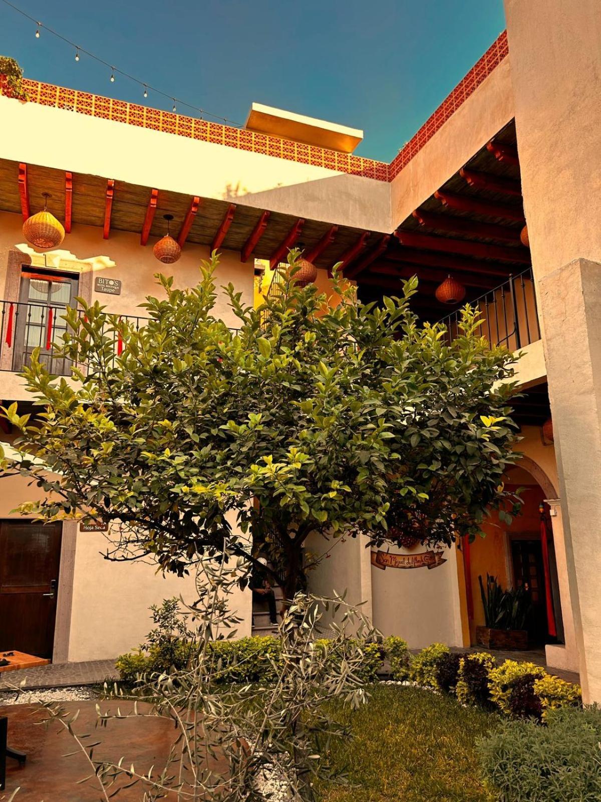 Bito'S Hotel Boutique ซานมิเกล เด อาเญนเด ภายนอก รูปภาพ