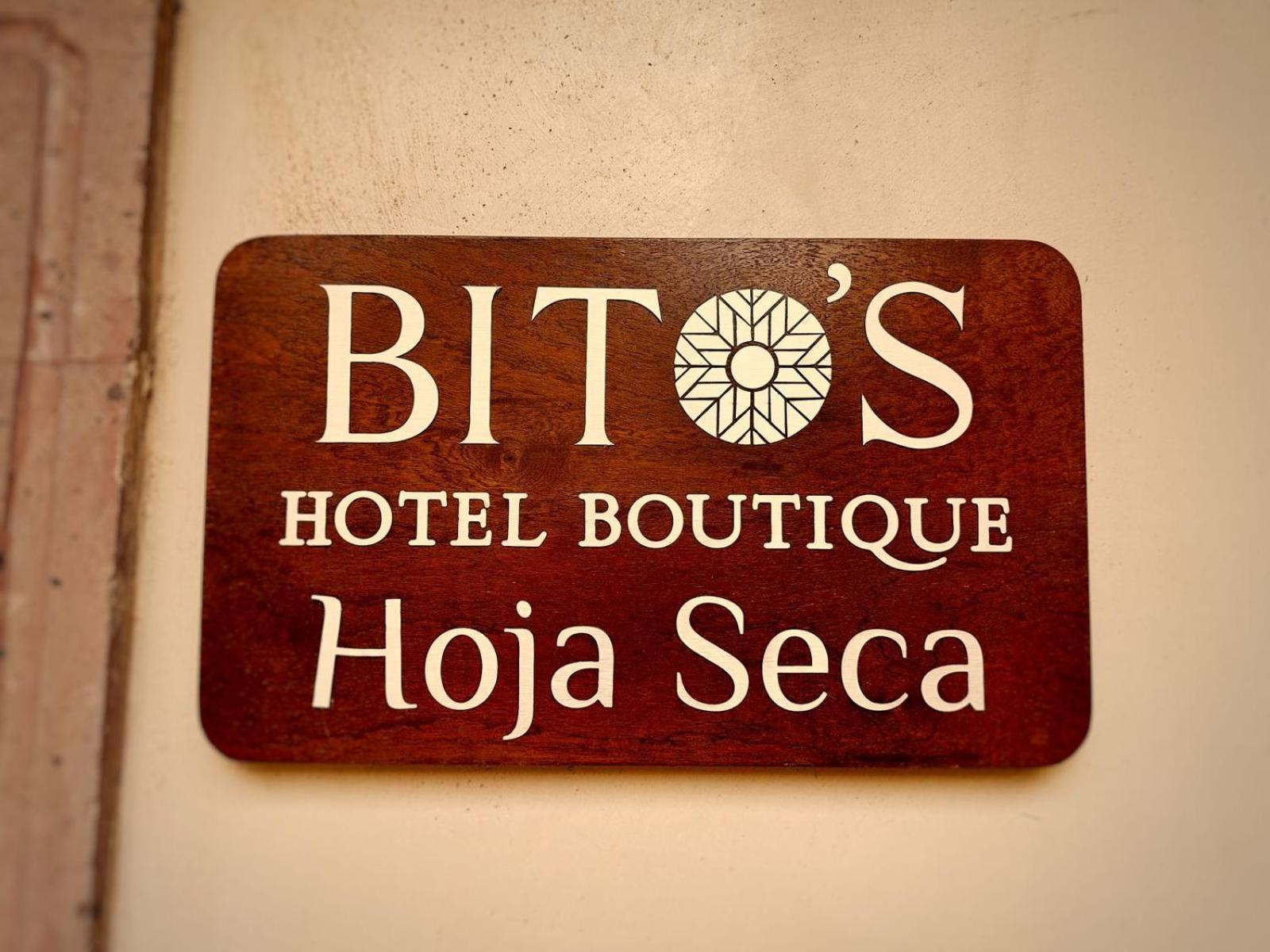 Bito'S Hotel Boutique ซานมิเกล เด อาเญนเด ภายนอก รูปภาพ